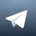 TelegramX