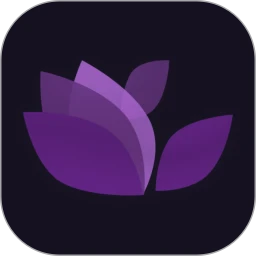 繁花直播