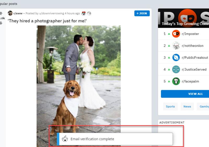 1738810754926631.jpg reddit5