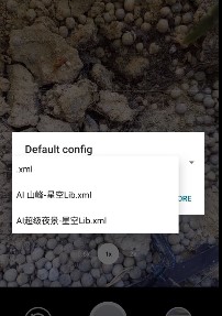 谷歌相机10