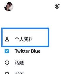 推特蓝鸟版11