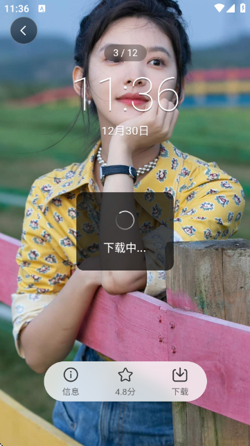 有图下载器4