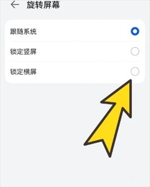 啵啵浏览器海外谷歌版3
