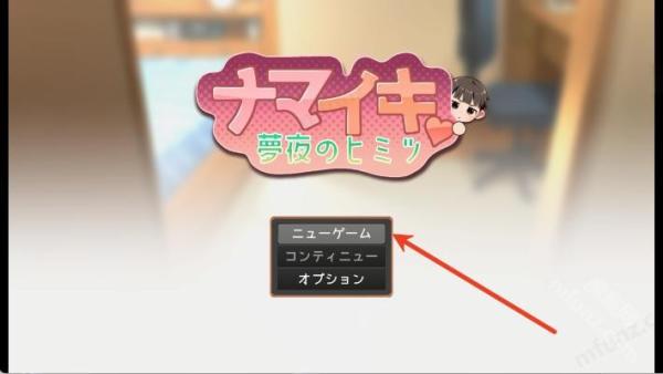 namaiki汉化版1