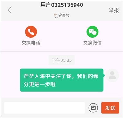销冠输入法5