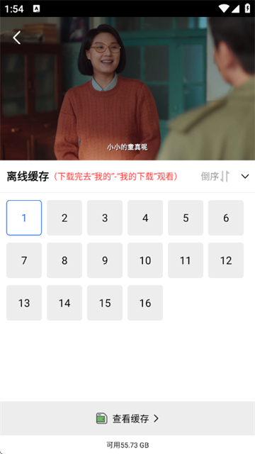 闪电视频3
