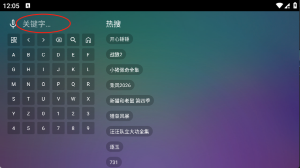 巧技追剧TV版2