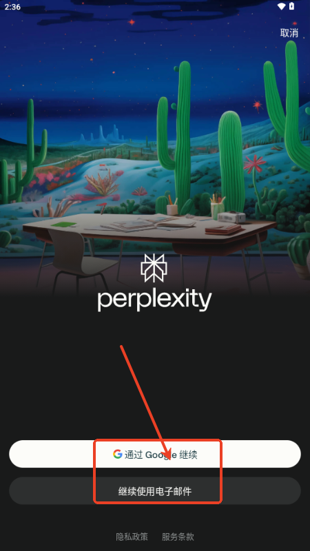 Perplexity4