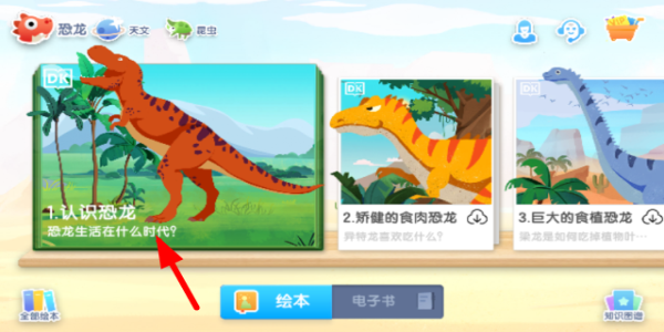 dk百科1