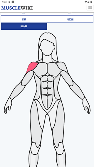 musclewiki1
