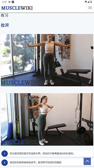 musclewiki3