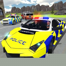 警车驾驶事件