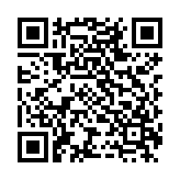 合金弹头4双人版