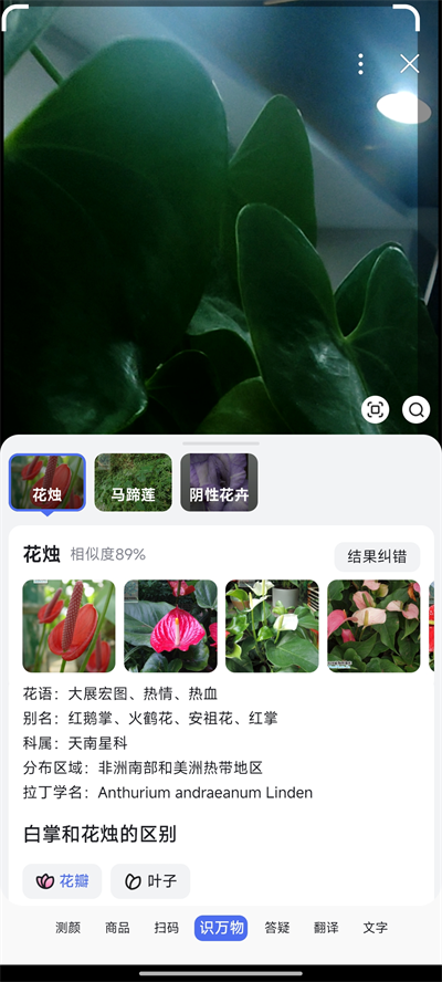 百度搜索2