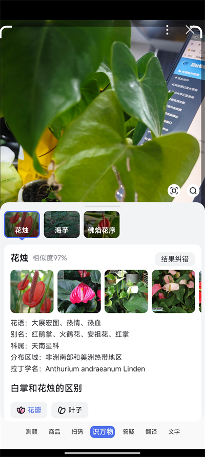 百度搜索5