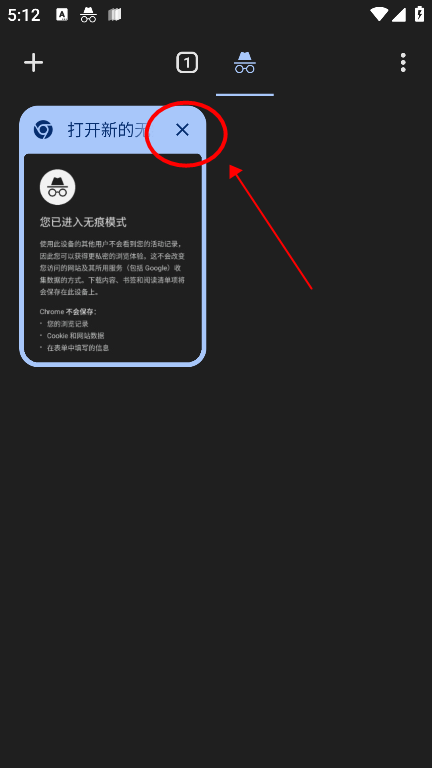 google浏览器10