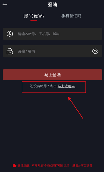 网飞猫5